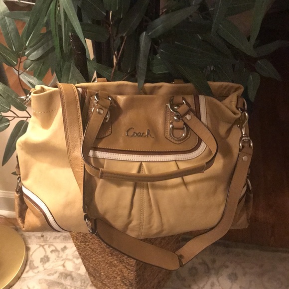 🛑🛑🛑 COACH  STOP take a look beautiful stunning and Classy. - Picture 7 of 14